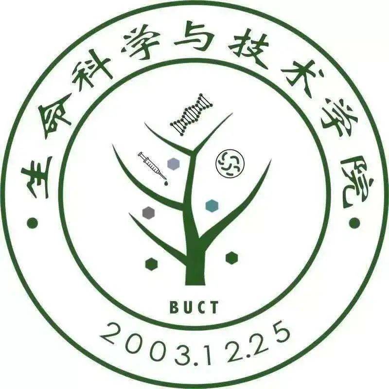 篮球工程师研究新技术,推动篮球发展 篮球工程师研究新技术,推动篮球发展