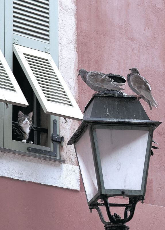 压哨奇迹！卡塞米罗连击致胜，西班牙险胜喀麦隆