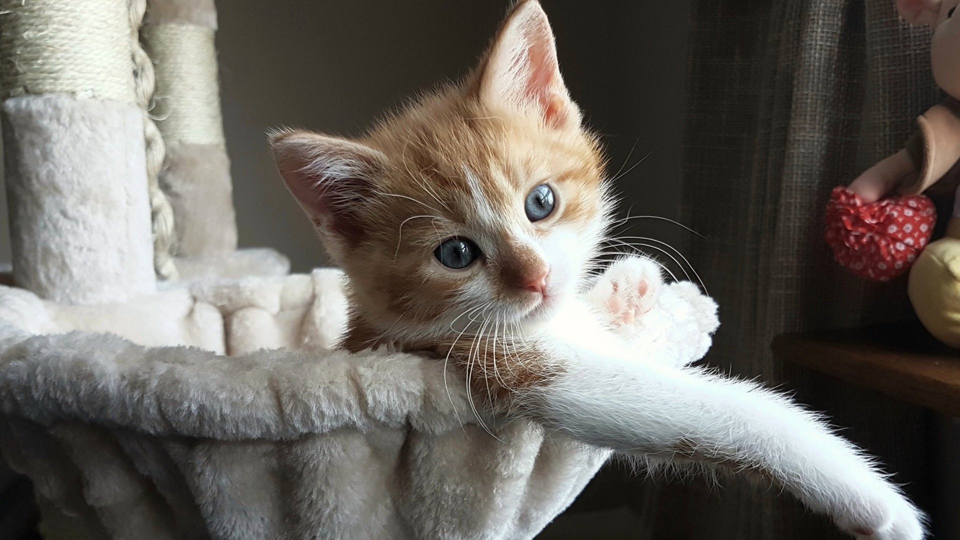 沉默刺客与喧嚣战场，克莱于无声处炸响的惊雷