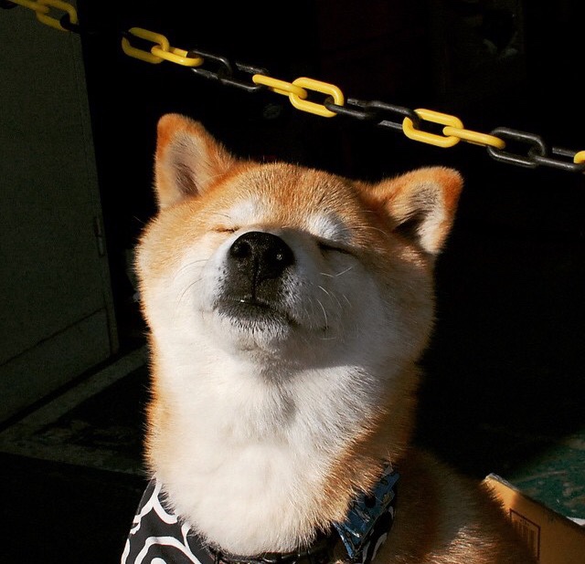 开云下载-凡尔赛宣言,孙兴慜用五分钟魔术让奥运关键战变为私人秀场