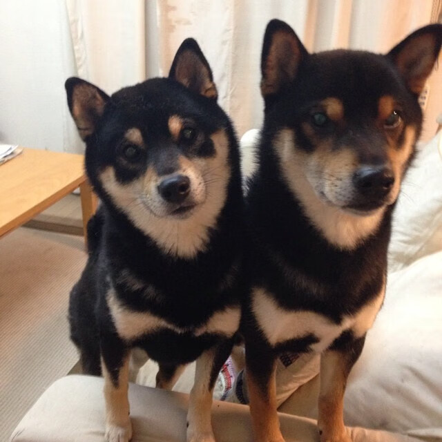 风暴之眼与那道划破黑暗的刀光,记三笘薰的东决封神之夜