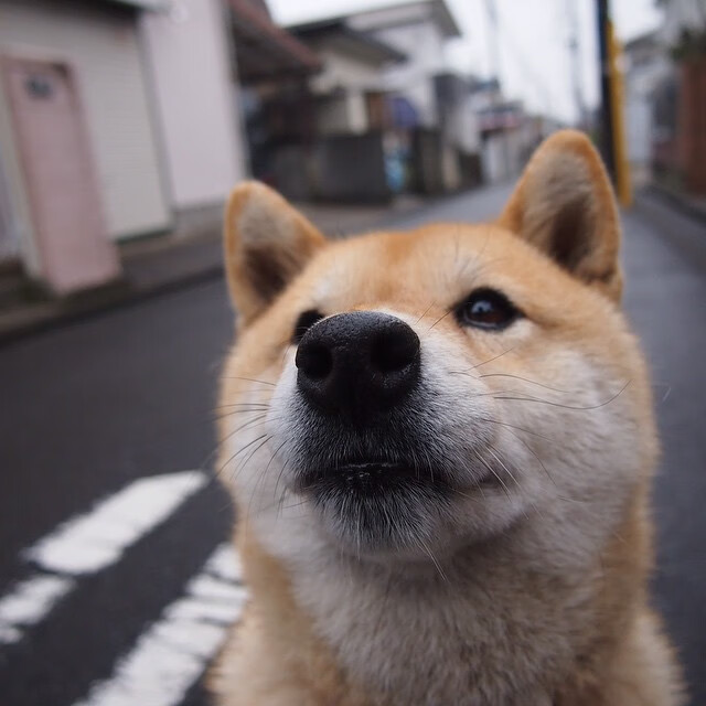 南美独舞,加维踏碎苏格兰高地防线