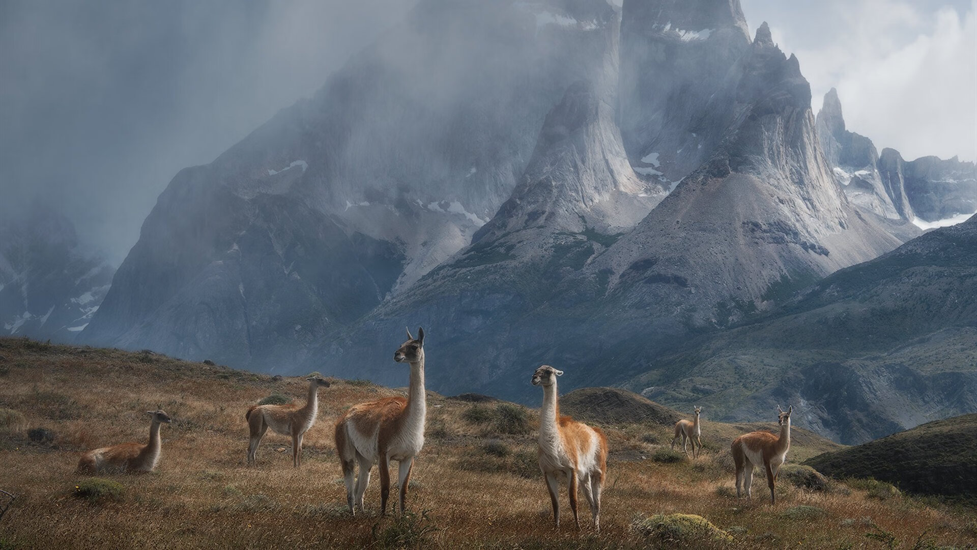 战术智慧与个人闪耀，快船压制奇才，意甲赛场再现西亚卡姆式统治
