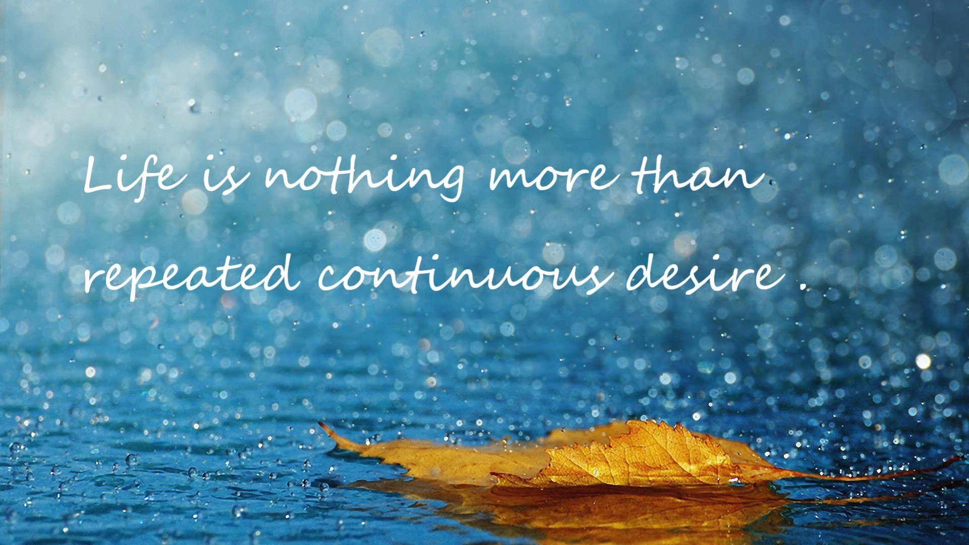 开云体育平台APP-公牛角斗士,战术铁笼窒息快船,末节皇帝接管世界排名生死战