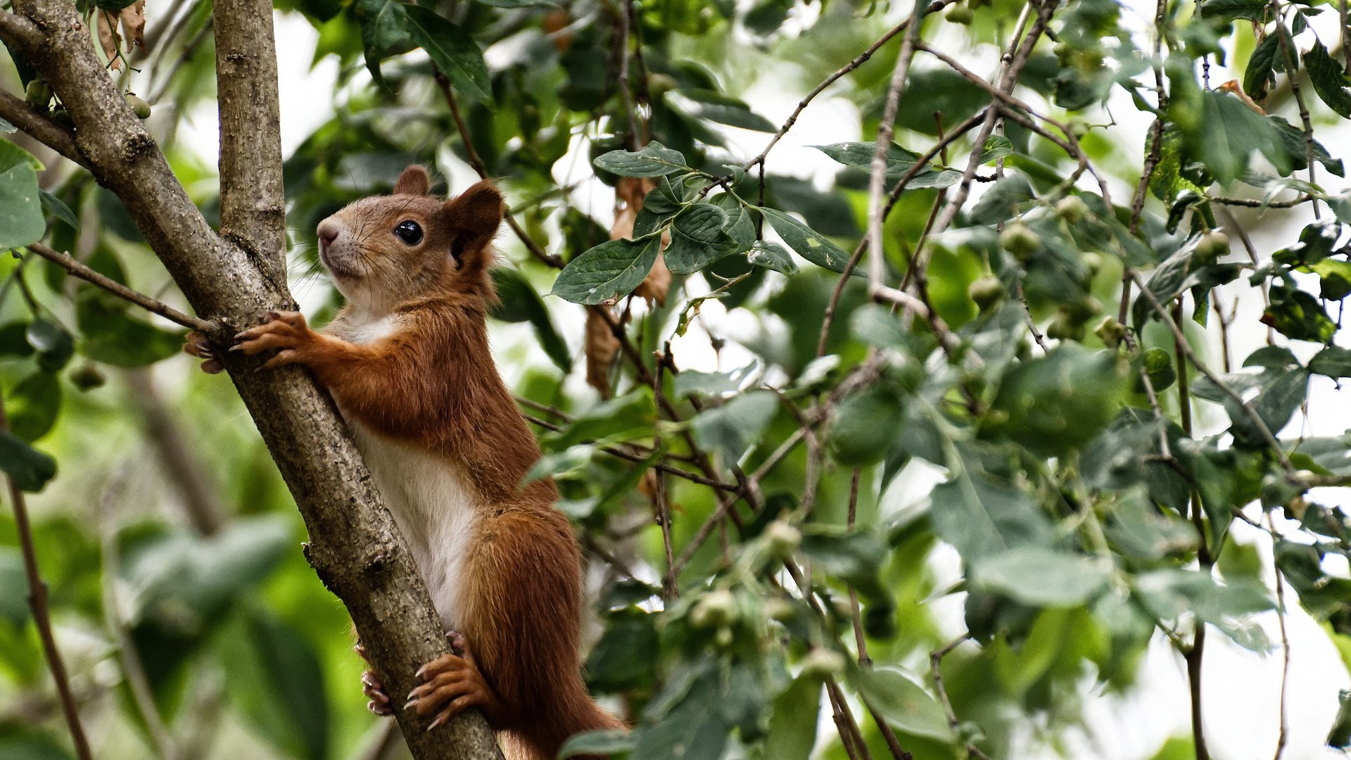 开云体育-斯通斯引领节奏革命,塞内加尔3-0横扫瑞典展露獠牙