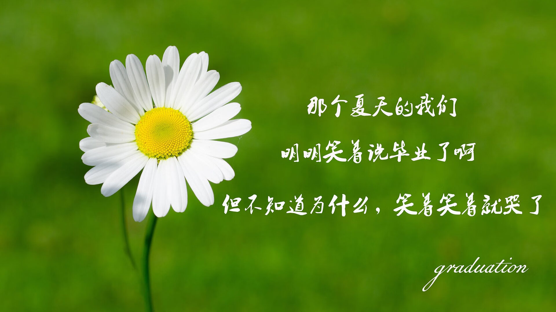 开云体育中国-双王座之夜，当库尔图瓦的满分神谕，撞上阿尔及利亚的绿洲风暴—论那一夜足球世界的唯一性