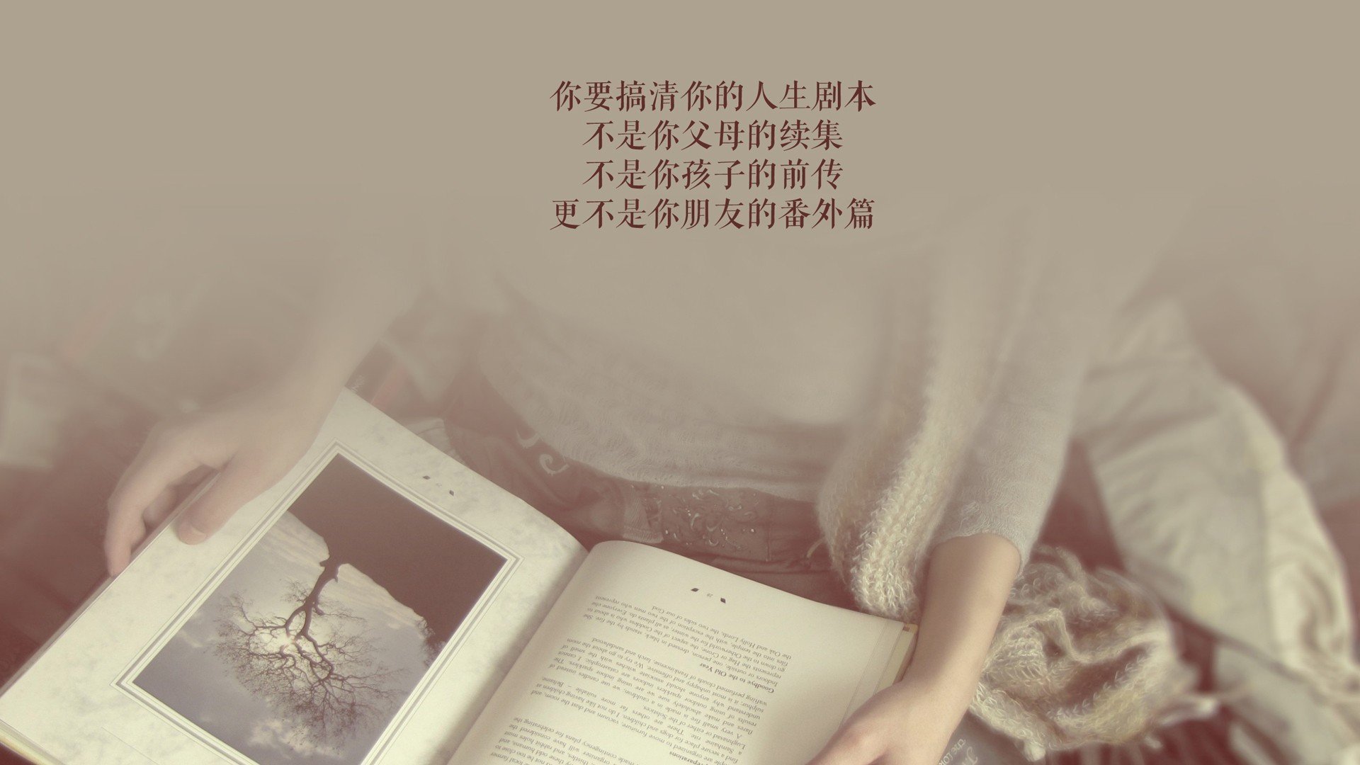 孤星耀世，布罗佐维奇的铁血指令，哥伦比亚如何在2026出线战中将英格兰撕成碎片