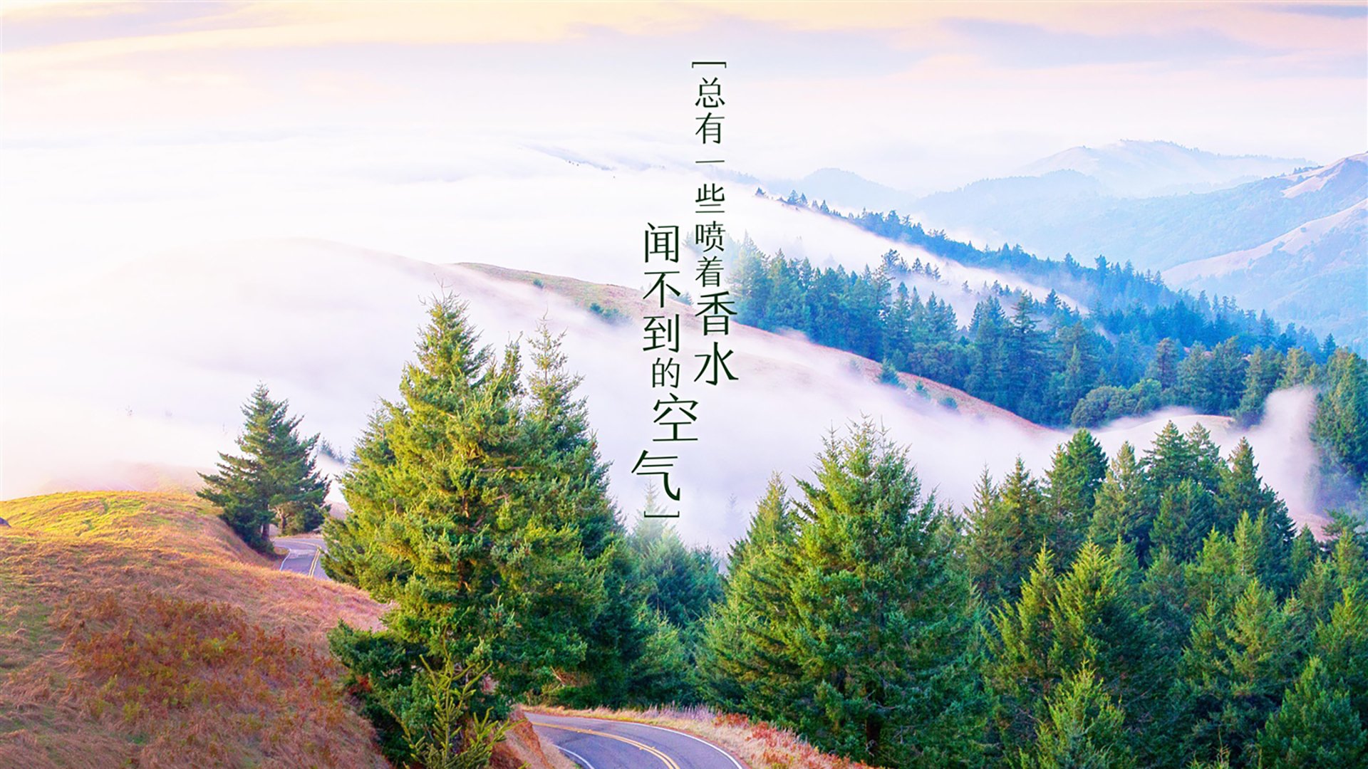 2026世界杯G组焦点战,波兰碾压乌兹别克斯坦,努涅斯主导比赛,快速反击犀利如刃