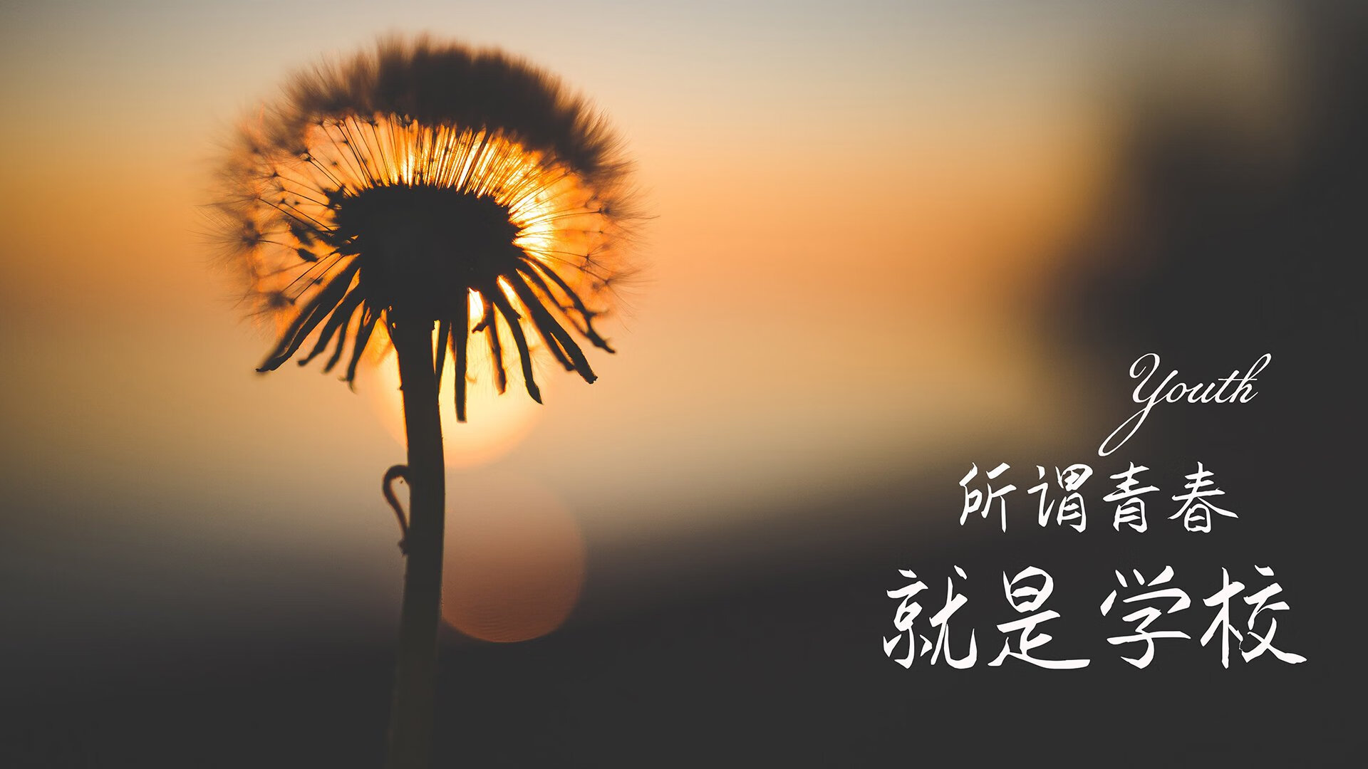 宿命之弧,当西班牙的华丽撞上中亚铁壁,布罗佐维奇如何成为2026世界杯G组唯一解